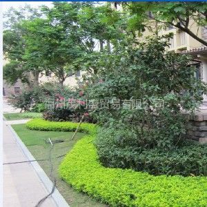 福州园林绿化 设计、施工与工程实例全览