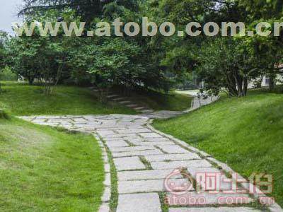 优质景观园林绿化工程施工公司探寻指南