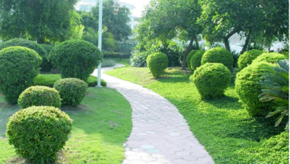 园林绿化工程施工规范与操作要点