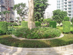 中山最便宜的剪花剪草、园林规划设计与绿化工程施工全攻略