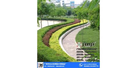 花都区校园园林绿化施工 建基水泥铸就安全高效的绿色工程