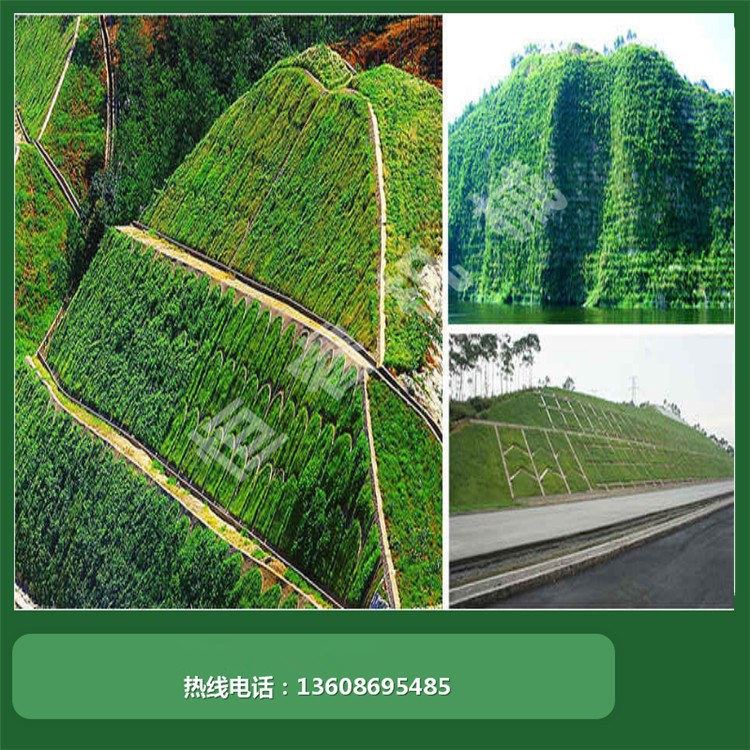 河南恒睿园林绿化工程 从小区边坡到垃圾填埋场的专业施工方案