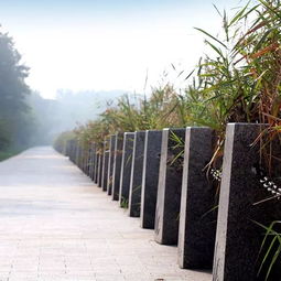 中邦园林两项工程荣膺2018年度中国园林绿化优秀施工项目